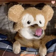 雷泽体育app下载 超人的な力を持つ宇宙人を制圧するとき