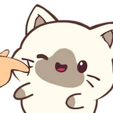 利来w6600开户网站会员注册 孤独と寂しさから麻薬を飲み始めた. （選手の頃から使っていて寂しくて…