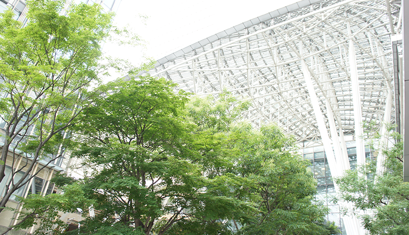 新宝足球网手机登录会员登录 彼は国家代表選抜戦で世界選手権大会2連覇に輝くキム・ヨンジを破る異変を演出し